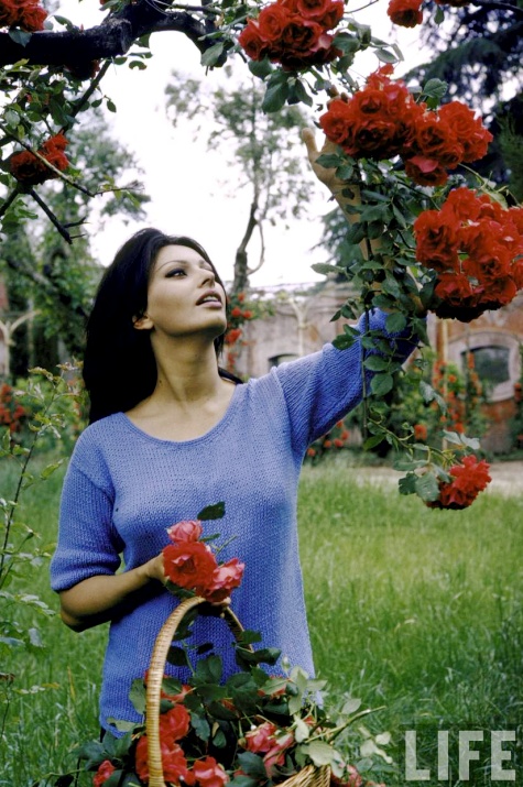 Sophia Lorens RomanVilla-h