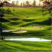 Golfen8