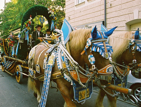 _HB-BierPferdegespann (2)