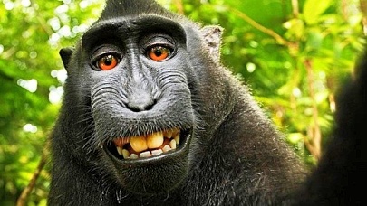 1_Affe Naruto-selviepic