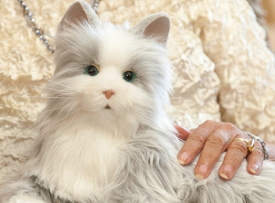 1_nasowas-companion_pet_cat_hero1